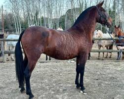 2ab824c4-46a7-4e44-a9a1-c1104fe56fb1_002_original